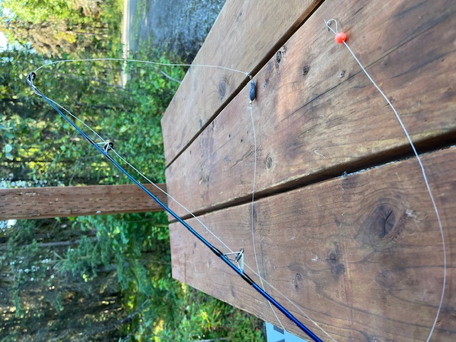salmon fish rig